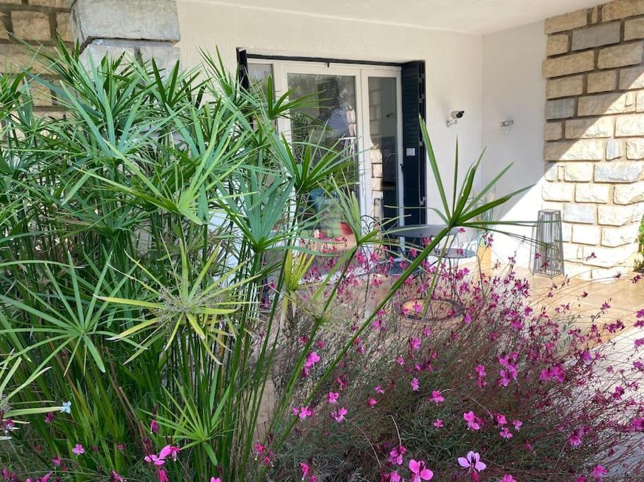 Une Pause Au Paradis Sorgues Exterior photo